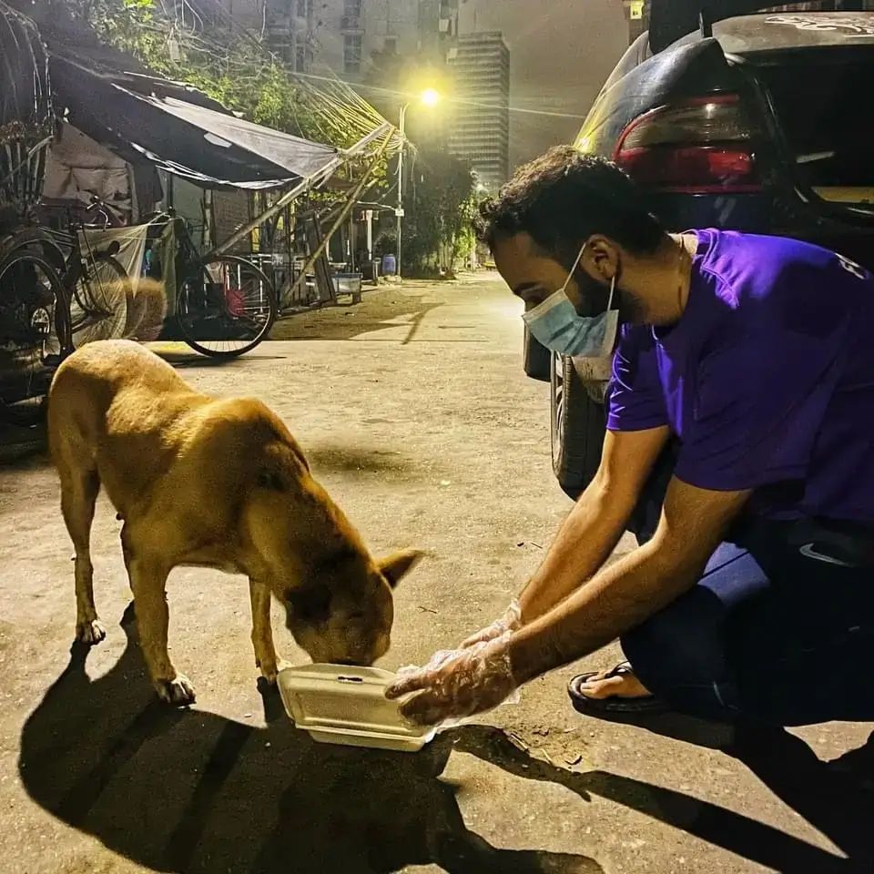 Love for dogs - Animal rights initiative by Parbo Foundation